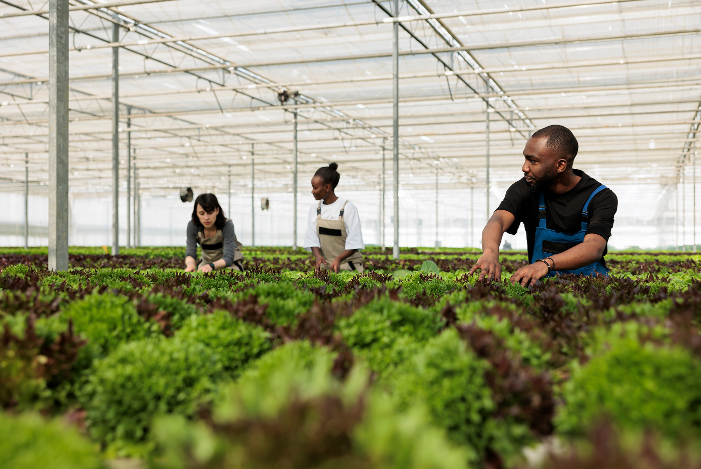 Agriculture