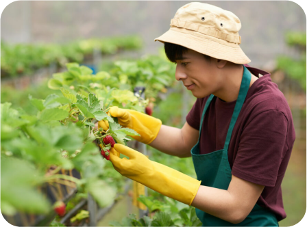 How AI is Changing Farming
